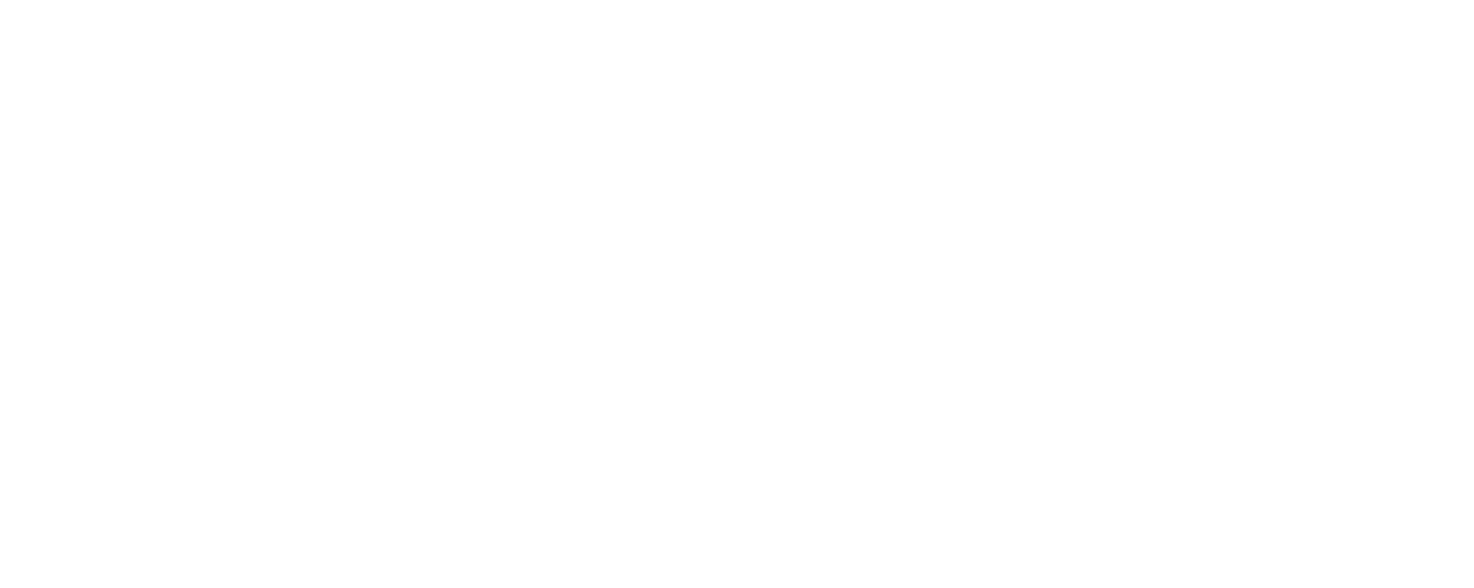 viaanlab-logo-